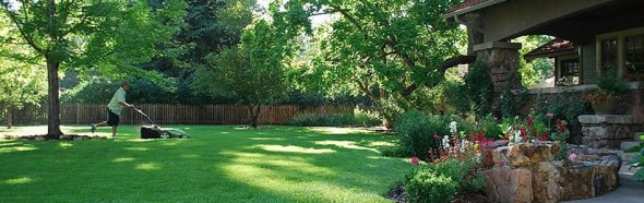 Lawn Care | Clean Air Lawn Care Lawn Care at Clean Air Lawn Care
