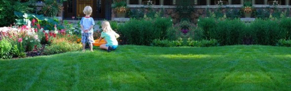 organic lawn care in Houston - Clean Air Lawn Care