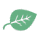 Organic Leaf that represents organic lawn care.