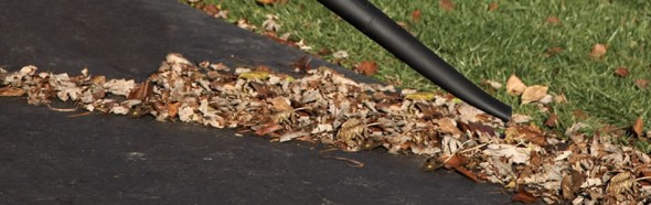Yard Clean Up Blowing Clean Air Lawn Care