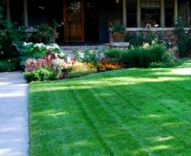 Green_Lawn_Web5
